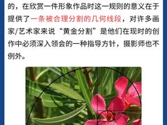 -CGWANG王氏教育(上海校区)