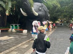 -野象谷景区