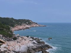 -广东惠东海龟国家级自然保护区