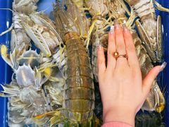 -吴记富苑(朝阳店)