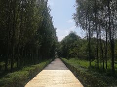 -农垦当壁镇兴凯湖旅游度假区