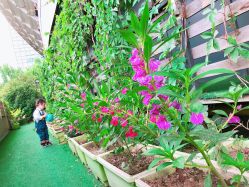 -可可天空农场(中大店)