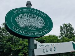 -富田农场
