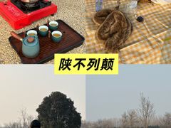 -汉长安城未央宫国家考古遗址公园