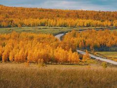 -塞罕坝国家级自然保护区