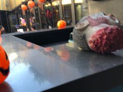 -bluefrog蓝蛙(水游城店)