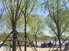 -东郊湿地公园