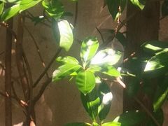 -逸仙华庭