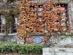 -半岛公馆(淞兴西路店)