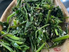 水芹菜-青城甲(青城山店)