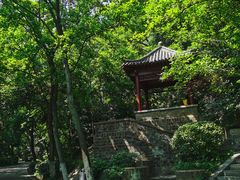 -北极阁公园