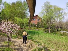-自然谷恐龙园