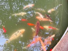 -成都杜甫草堂博物馆