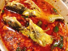 -肖肖酸萝卜鱼火锅(总店)