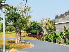 -宝安西湾红树林湿地公园