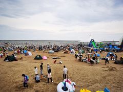 -碧海金沙
