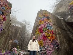 -秦岭终南山世界地质公园翠华山景区