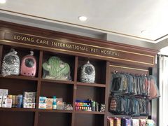 -宠爱国际动物医院· 猫科· 外科·中兽医(长白店)