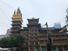 -雷允上(南京西路店)