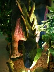 -恐龙探索乐园(磁器口店)