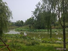 -东郊湿地公园