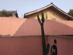 -三圣花乡旅游区