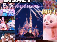 -上海迪士尼度假区