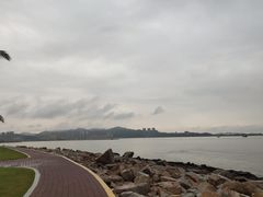 -野狸岛