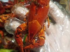 -赤甲皇(仙霞路店)