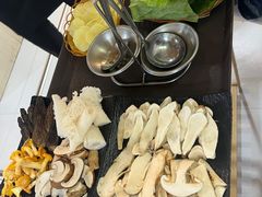 -蘑统田下·野生菌火锅