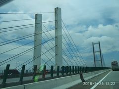 -无影脚佛山陈氏盲公丸始创店(飞鸿街店)