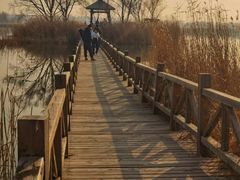 -野鸭湖国家湿地公园