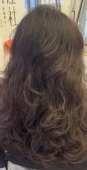 -镁连社·美联社