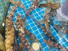 -抹直口特色菜馆(一店)