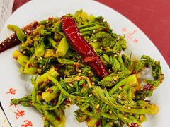 拌刺老芽-西塔大冷面(市府大路店)