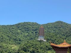 -深圳仙湖植物园