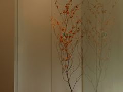 -THE RAVEN乌鸦咖啡(天利店)