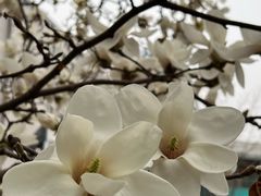-大望路(地铁站)