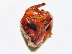 脆皮乳鸽-新荣记(南京西路店)
