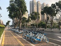 -澳门环岛游湾仔码头