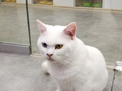 -极木²邸 人与宠物·互动社区