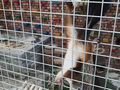 -百里峡七彩艺术小镇