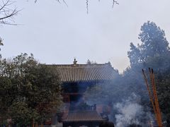 -洛阳白马寺