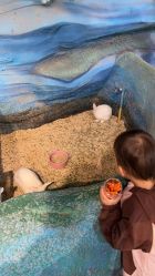 -酷嗒动物文化乐园(cutezoo西溪乐天城店)