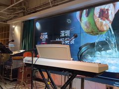 -同仁四季椰子鸡(福田东园总店)