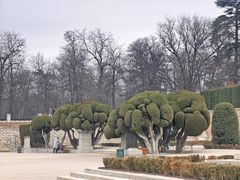 -丽池公园