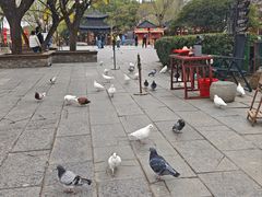 -中国翰园碑林