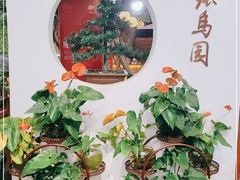 -张鸟园农家乐(张鸟园店)