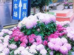 -天怡·鱼工厂(梅溪湖店)