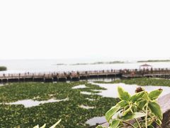 -新木器时代餐厅(太湖新天地店)